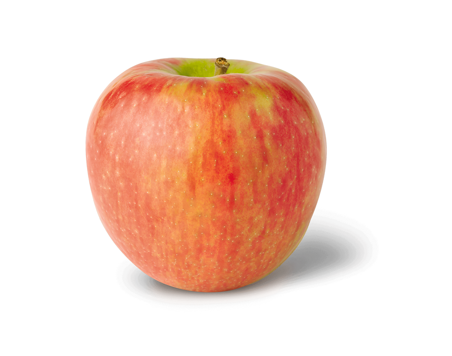 APPLE HONEYCRISP XF 88CT