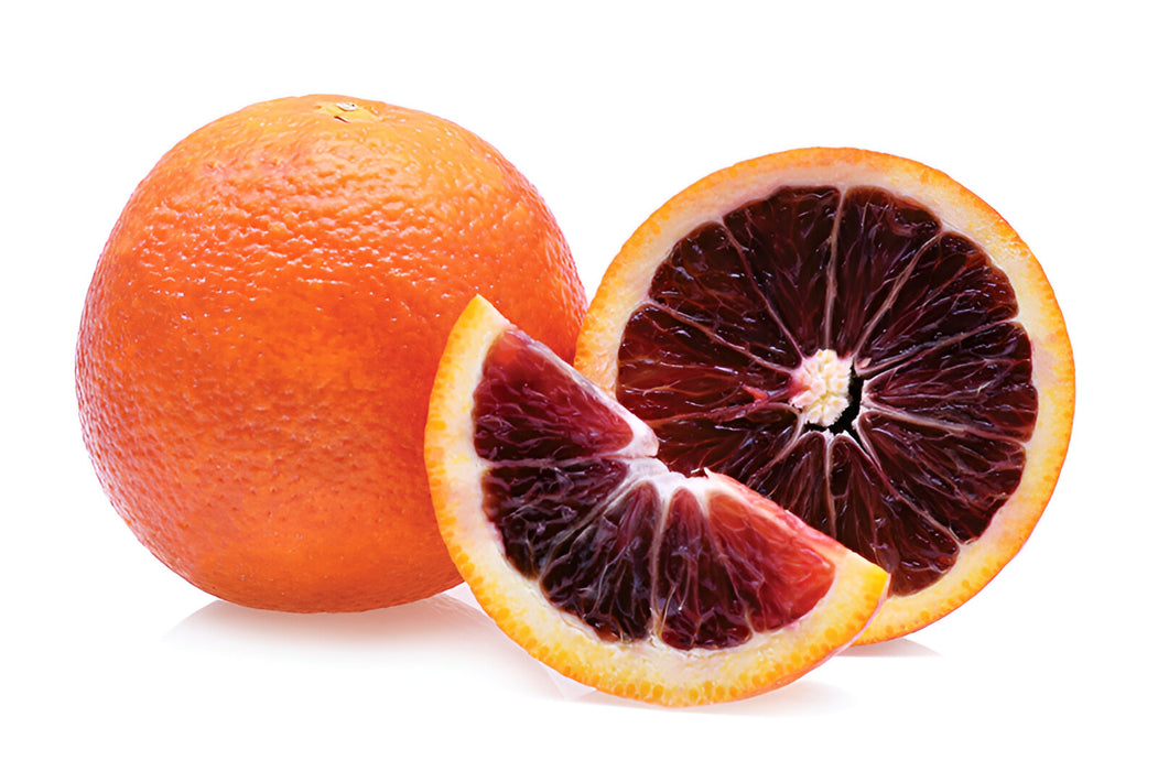 BLOOD ORANGE CTN