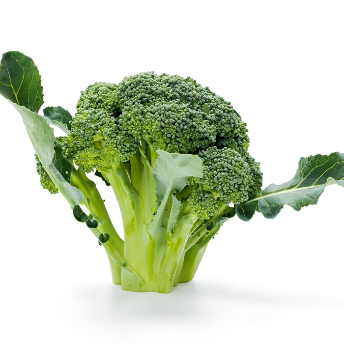 BROCCOLI BUNCHES 14CT