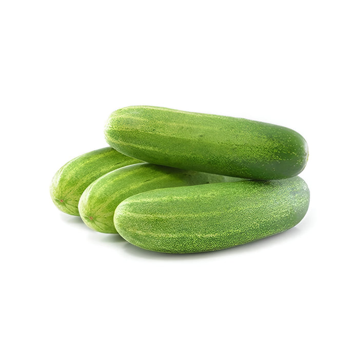 CUCUMBER HYDRO SLDS. 12CT