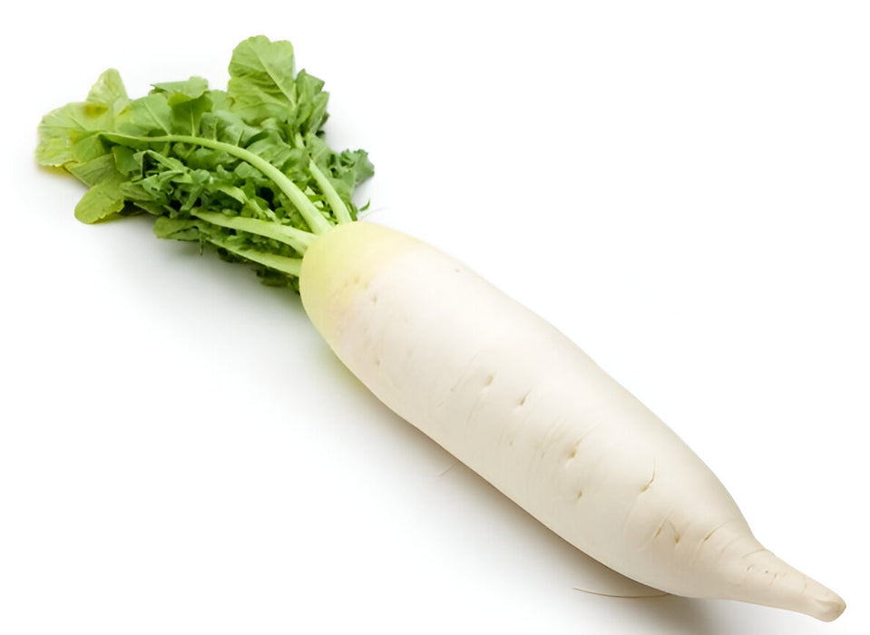 DAIKON RADISH 40LB