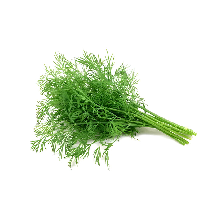 HERB DILL 1LB