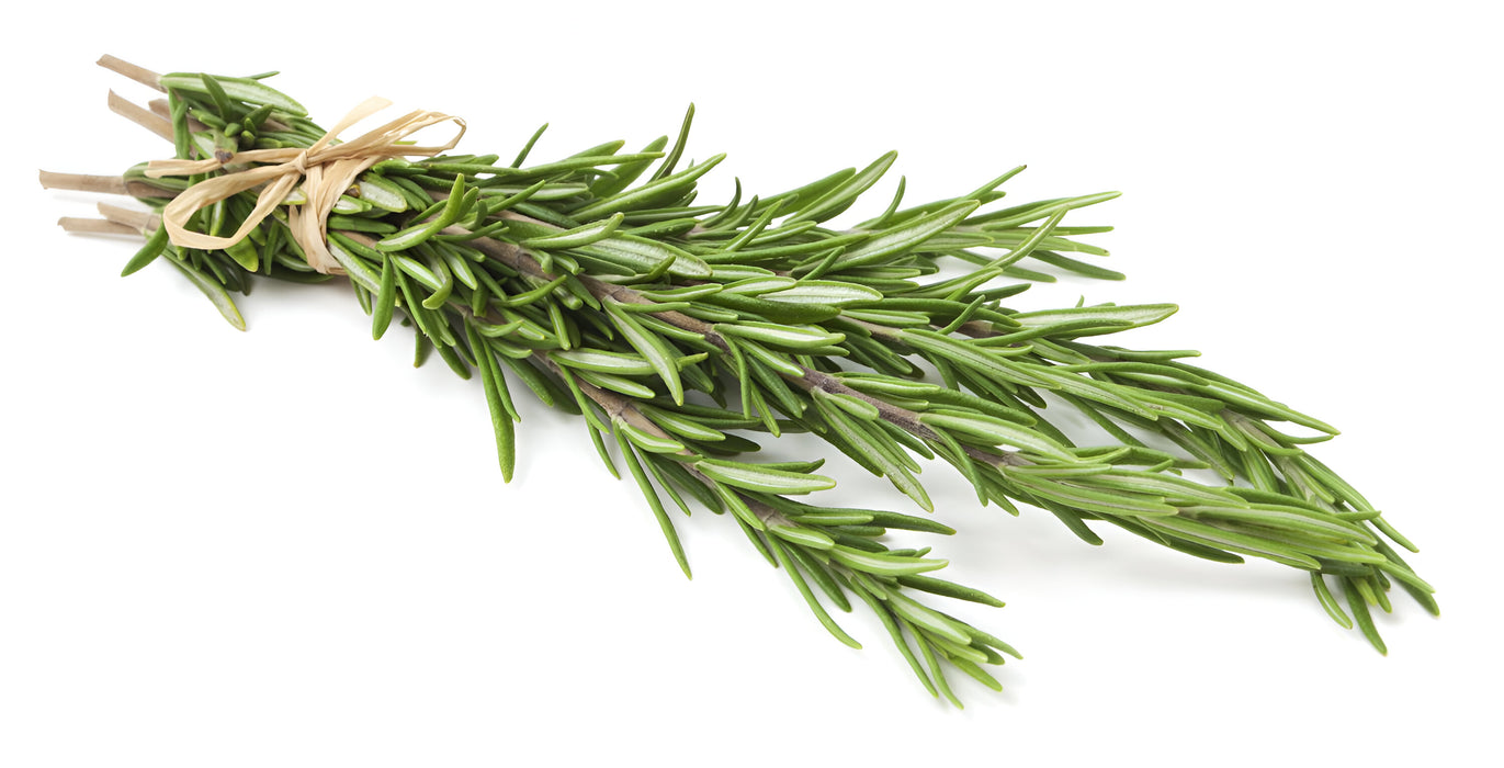 HERB ROSEMARY 1LB