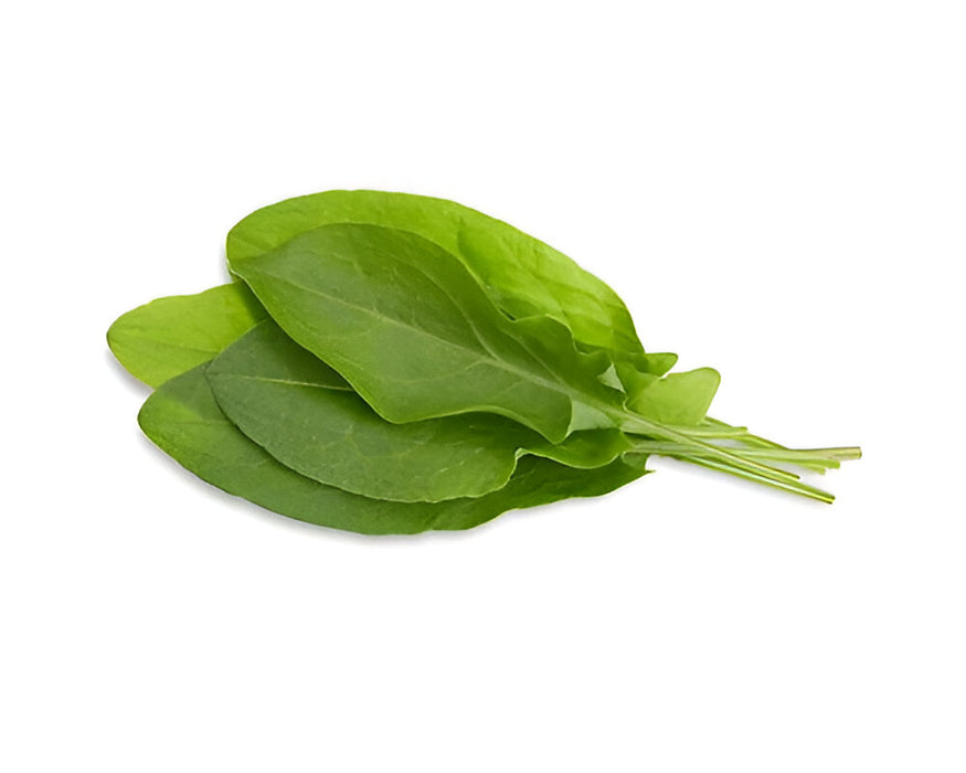 HERB SORREL 1LB