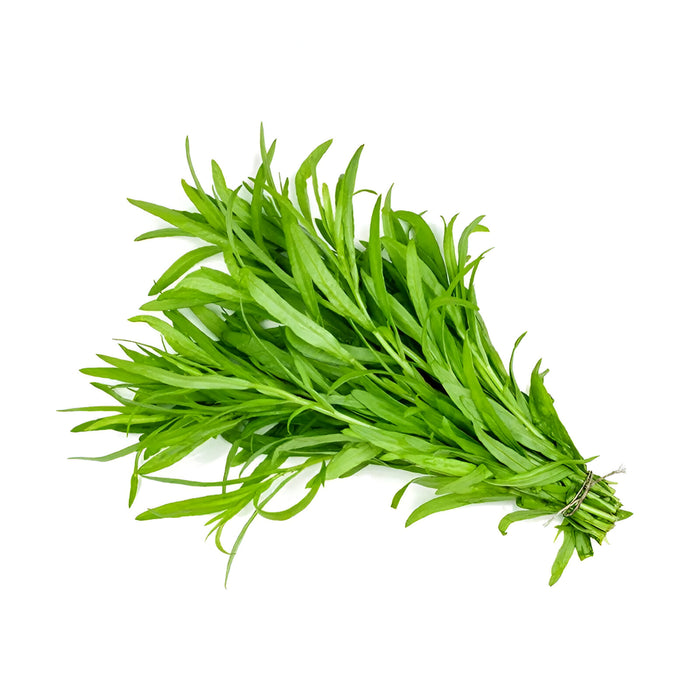 HERB TARRAGON 1LB