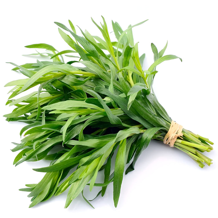 HERB TARRAGON 40Z