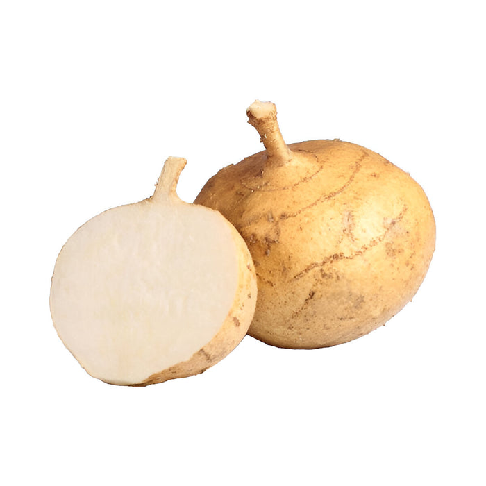 JICAMA CTN