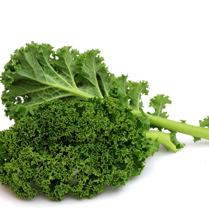 KALE GREEN EASTERN 24CT