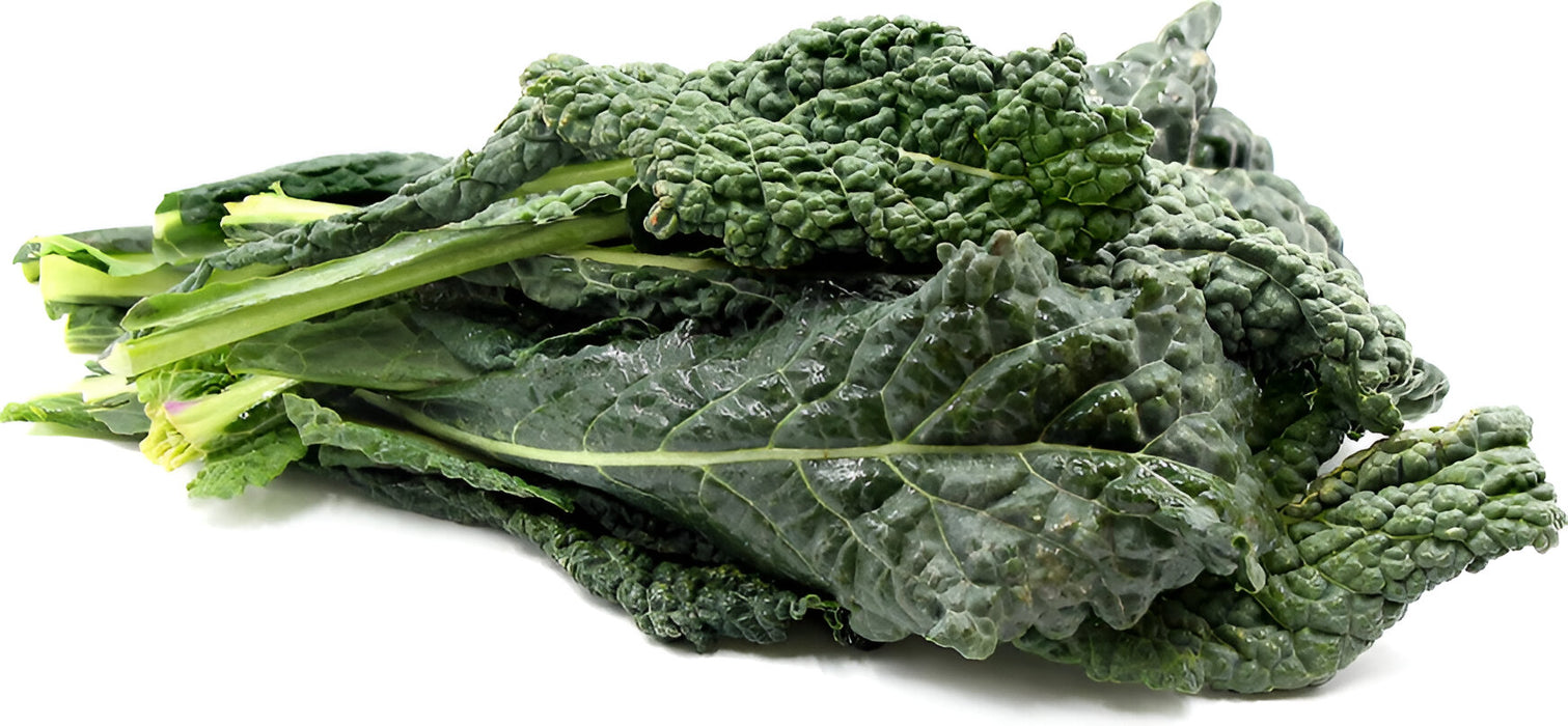 KALE LACINATO BLACK 24CT