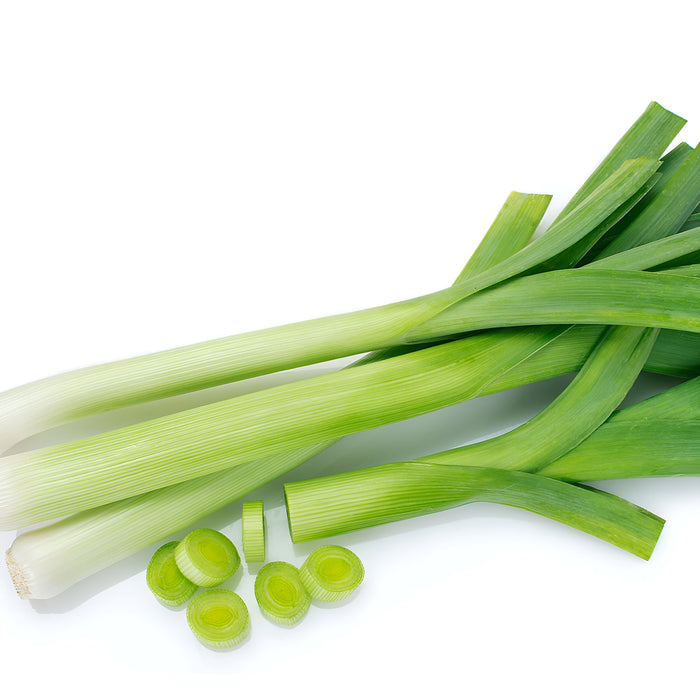 LEEK 12CT