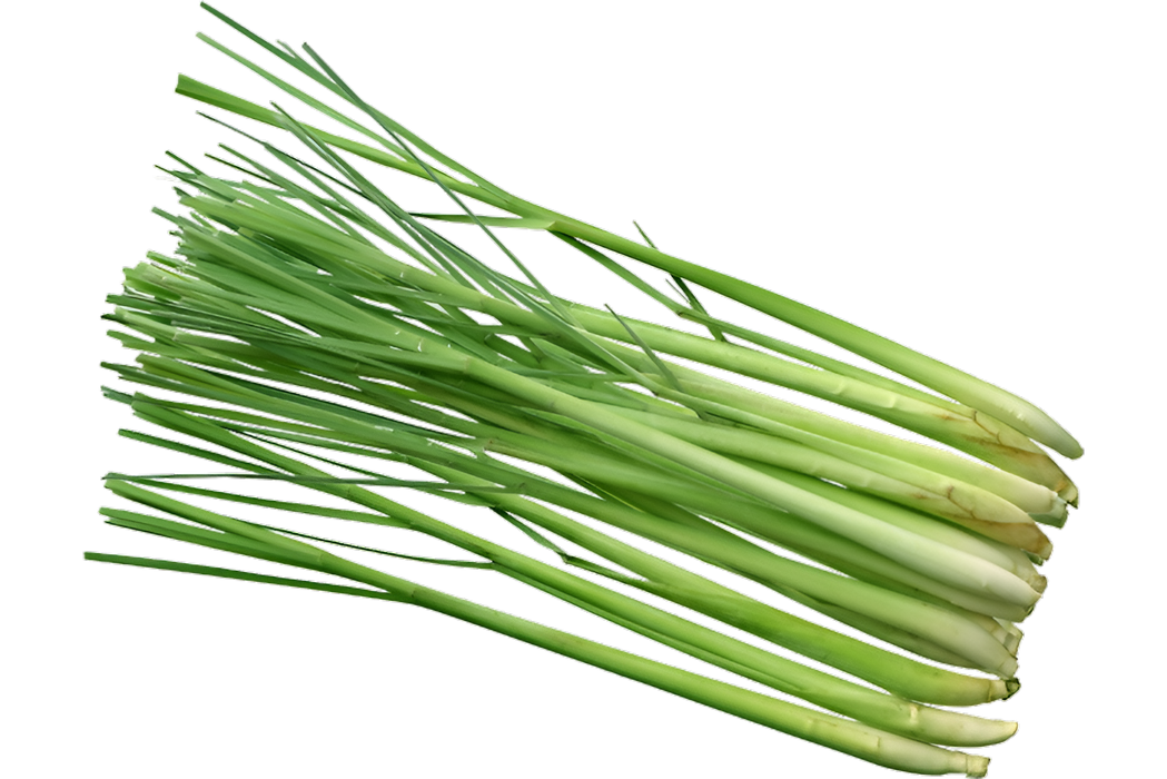 LEMONGRASS 1LB