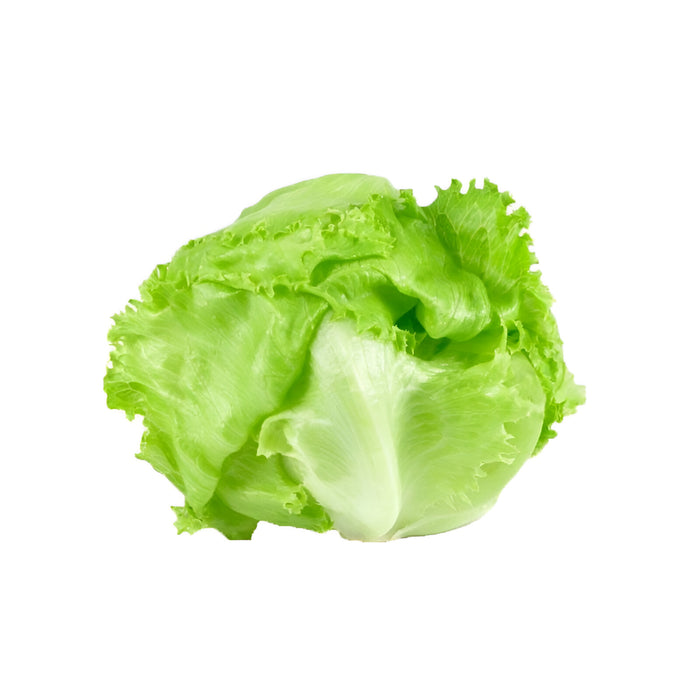 LETTUCE BABY ICEBERG 40CT