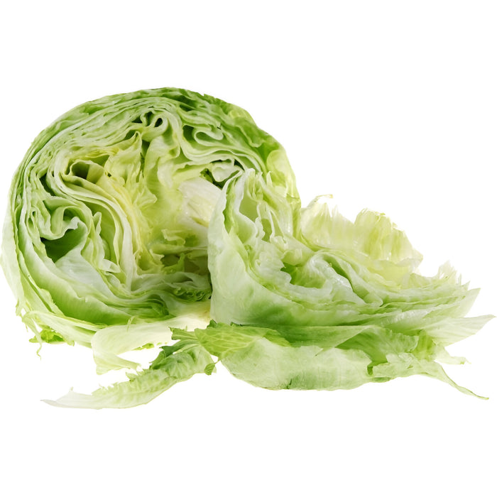 LETTUCE LINER ICEBERG 24CT