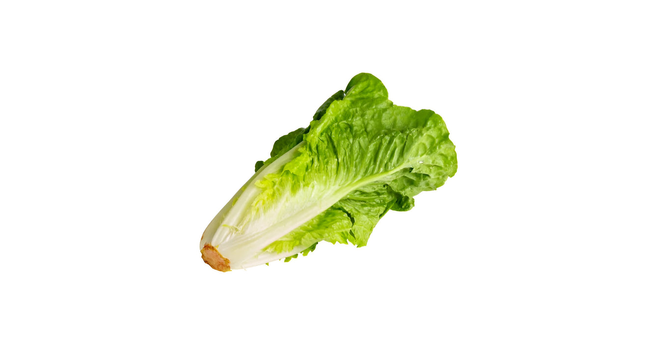LETTUCE ROMAINE 24CT