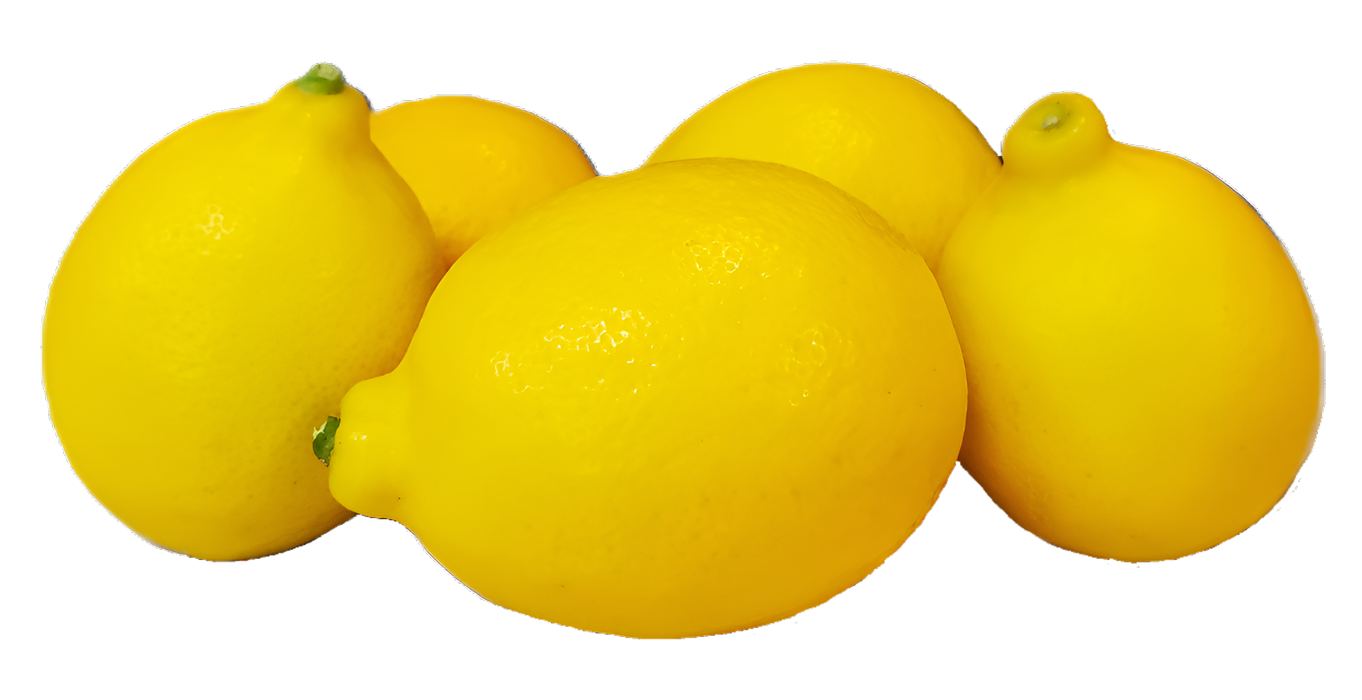 MEYER LEMON 10LB