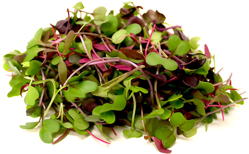 MICRO GREENS 80Z