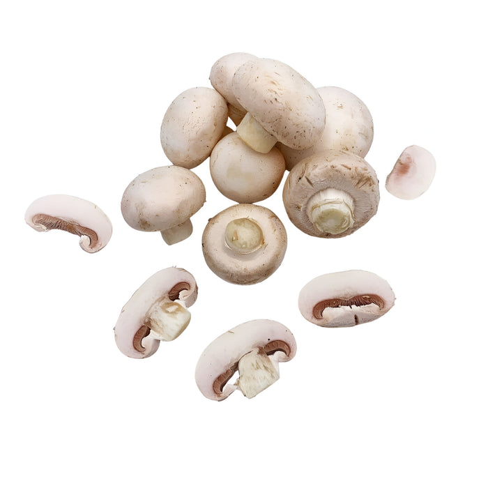 MUSHROOM MEDIUM 10LB