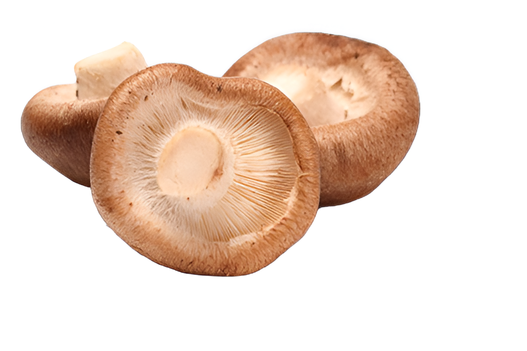 MUSHROOM SHIITAKE #1 3LB