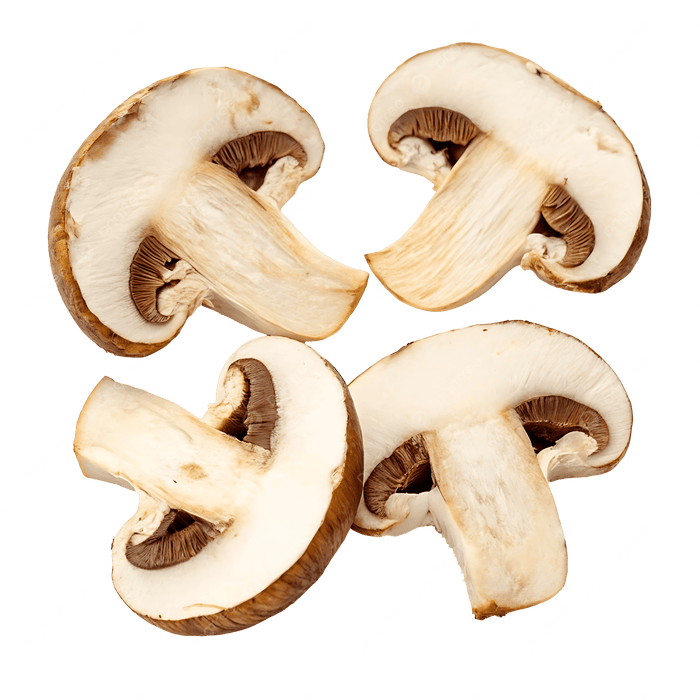 MUSHROOM SLICED 12/80Z