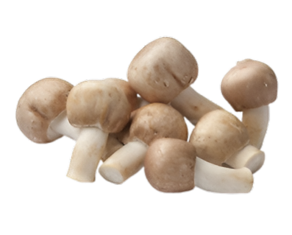 MUSH WHOLE FANCY 12/80Z