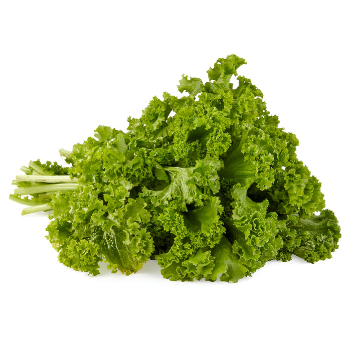 MUSTARD GREENS BUNCH 24CT