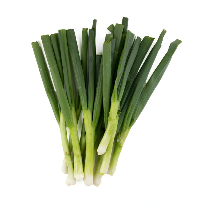 ONION GREEN ICELESS PLU 2/24CT