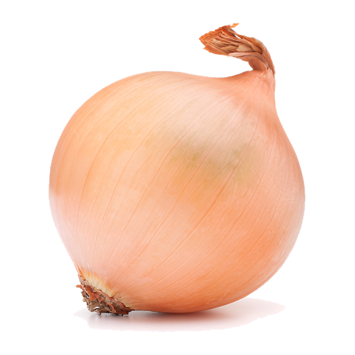 ONION YELLOW COLOSSAL 50LB