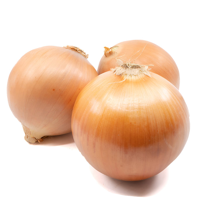 ONION YELLOW SUPER COLOSSAL 50LB