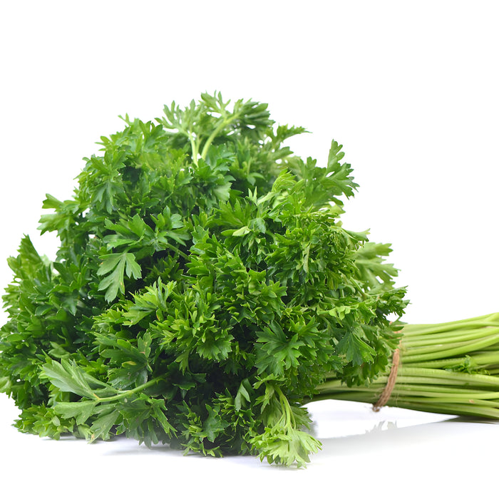 PARSLEY CURLY 60CT