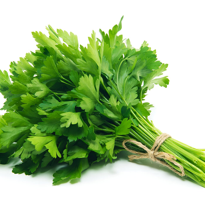 PARSLEY ITALIAN 60CT