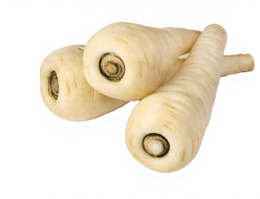 PARSNIPS CELLO 12xILB