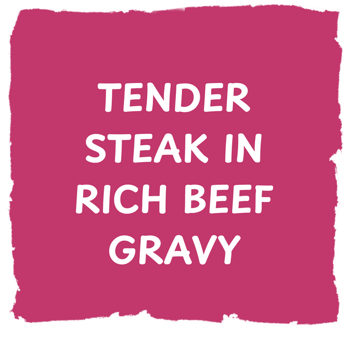 PIELANDER    Steak & Gravy Pie 7oz