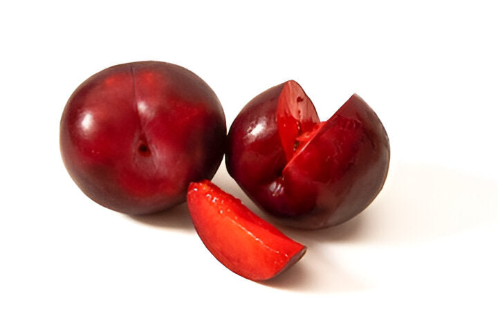 PLUM RED VOLUME FILL 60CT