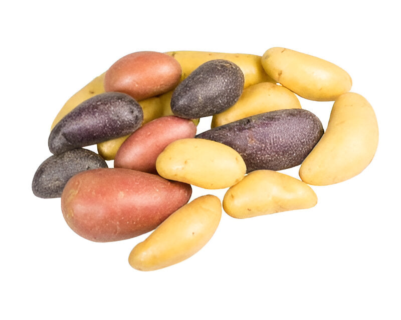 POTATO FINGERLING MIXED 50LB