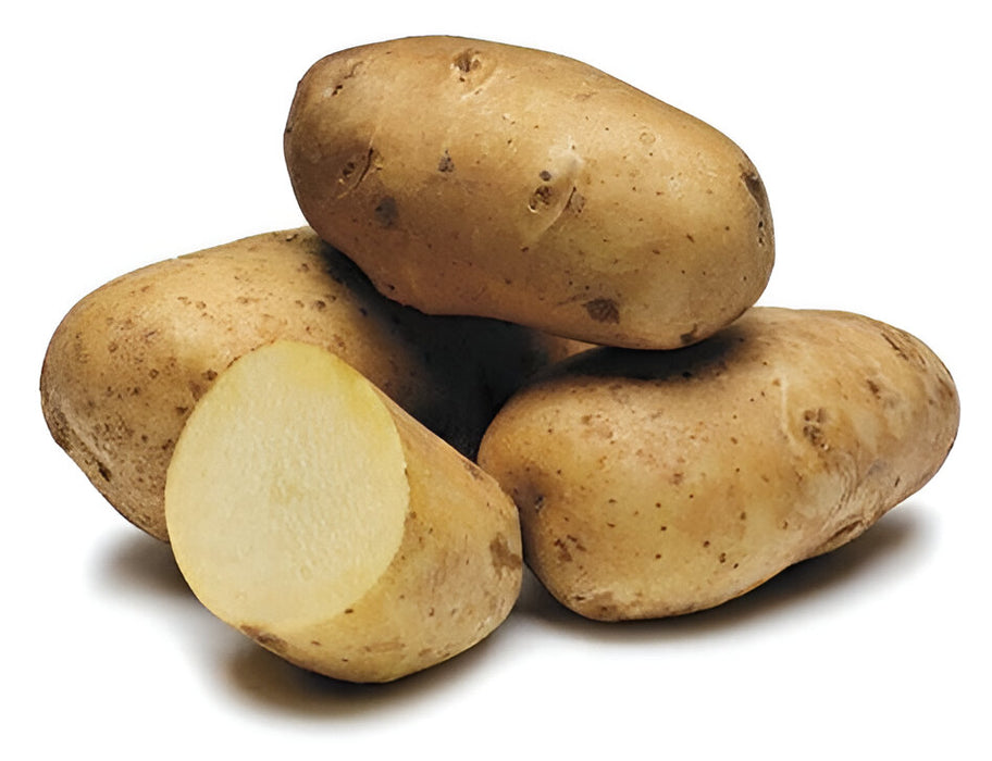 POTATO IDAHO MESH BAG 10/5LB