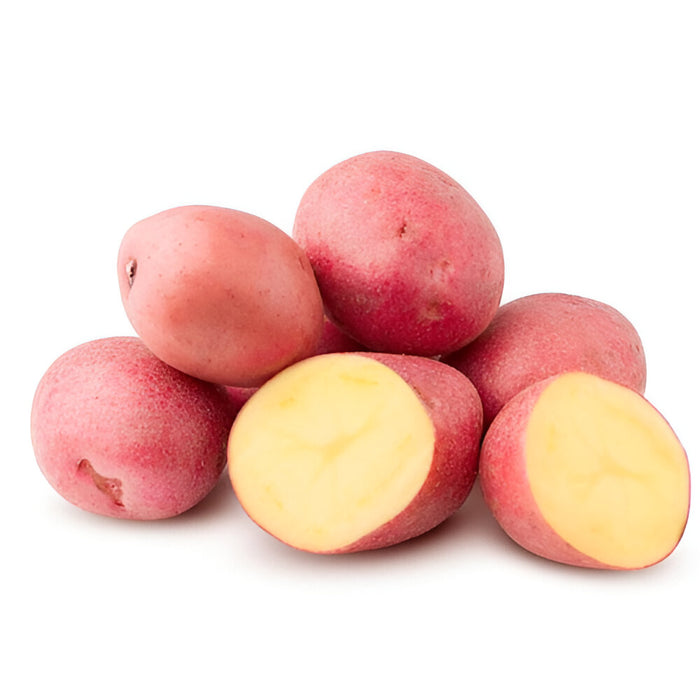 POTATO RED A #1 50LB
