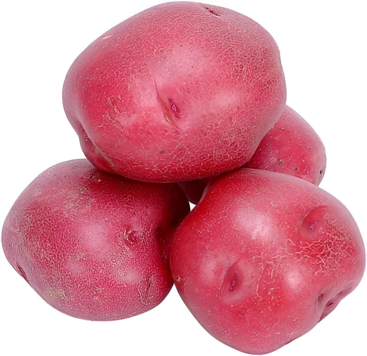 POTATO RED B 16/3LB