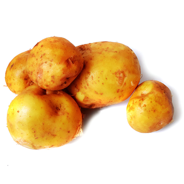 POTATO YUKON GOLD A #2 50LB