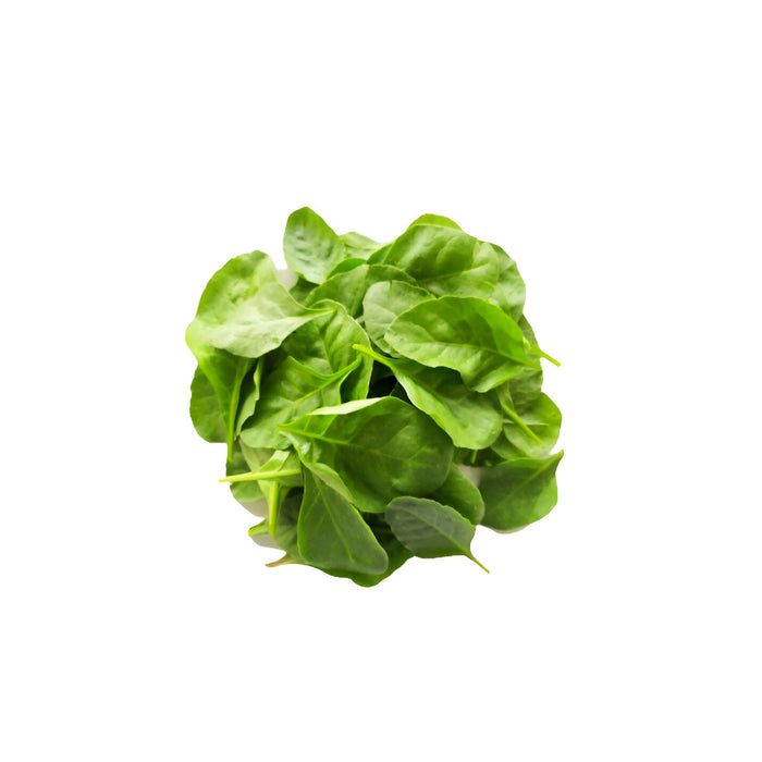 SPINACH BABY 4LB