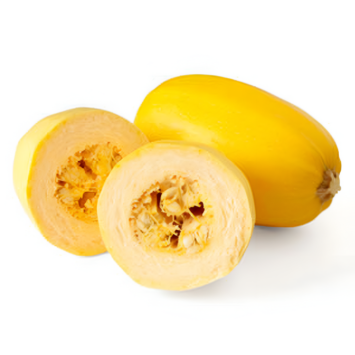 SQUASH SPAGHETTI CTN