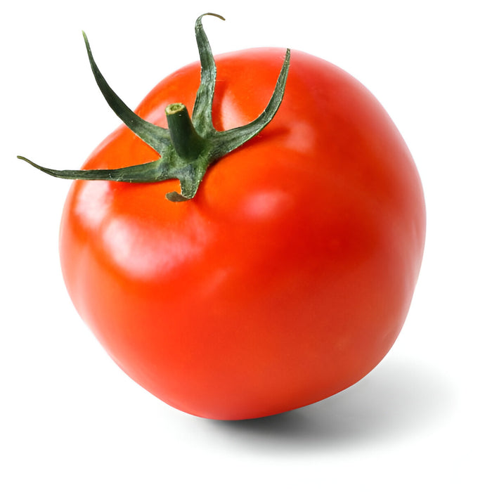 TOMATO 1-LAYER 6x6 10LB