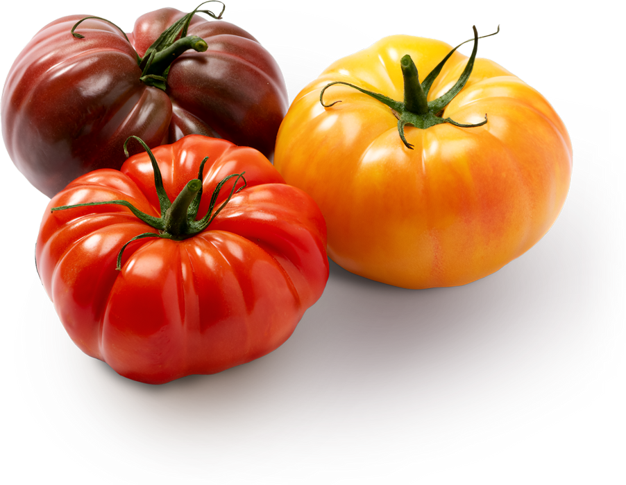 TOMATO HEIRLOOM BABY MEDLEY 12/100Z