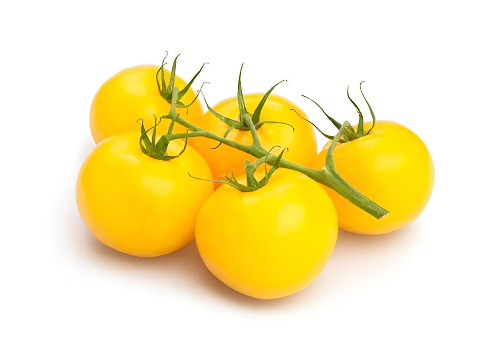 TOMATO YELLOW BULK 25LB