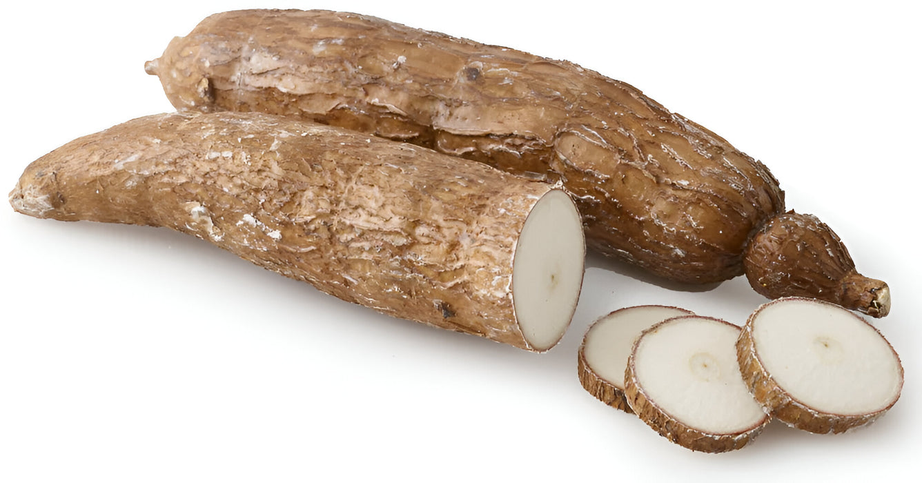 YUCCA ROOT CT